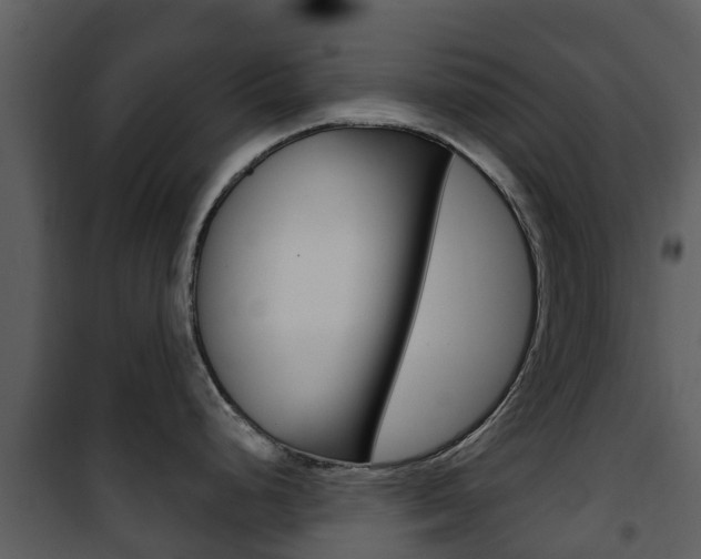 X0000101971248200807180719