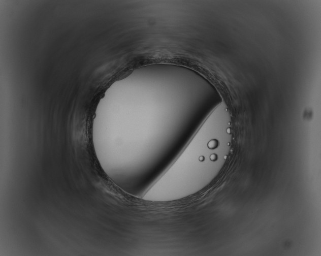 X0000101971250200807180718