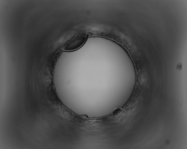 X0000101971253200807180718