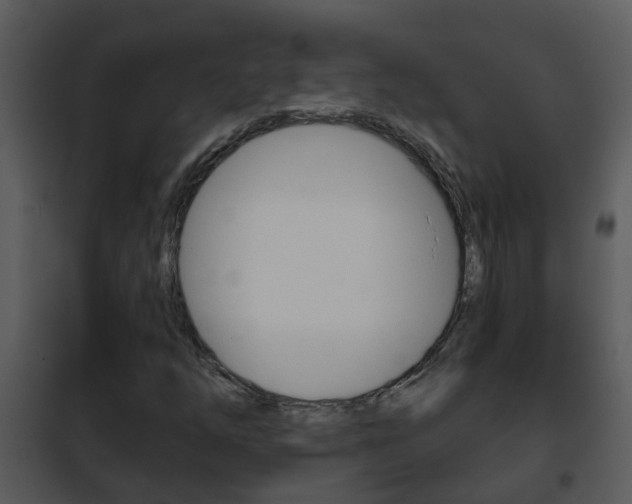 X0000101971254200807180718