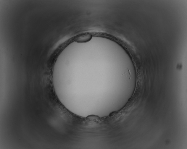 X0000101971255200807180718