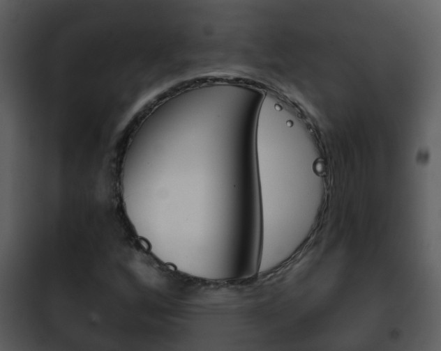 X0000101971256200807180718