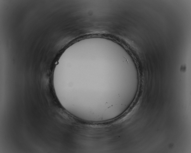 X0000101971257200807180718