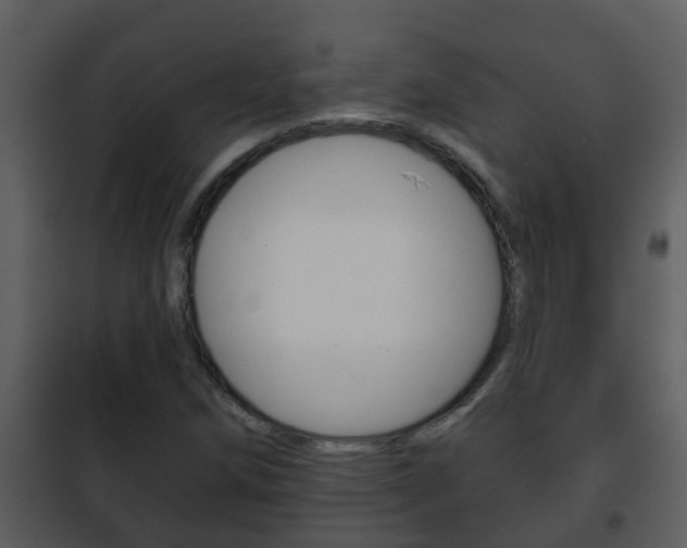 X0000101971258200807180718