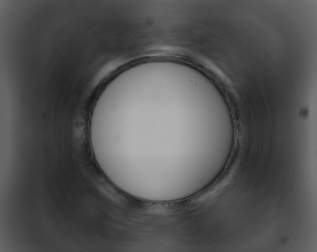 X0000101971259200807180718