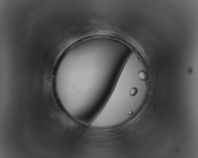 X0000101971260200807180718
