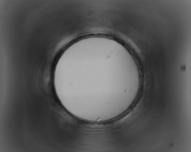 X0000101971261200807180718