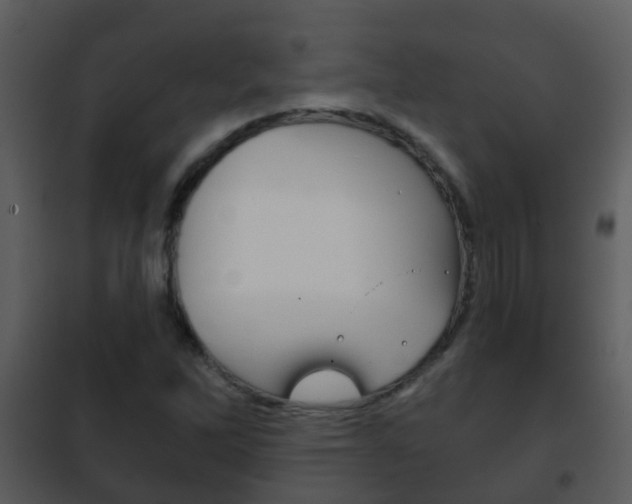 X0000101971262200807180718