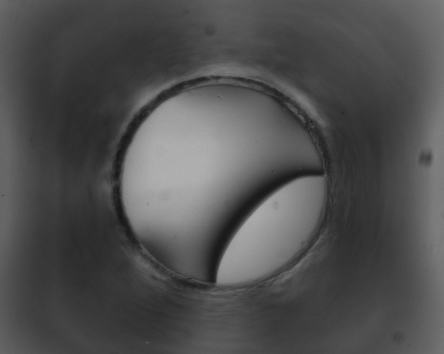 X0000101971264200807180718
