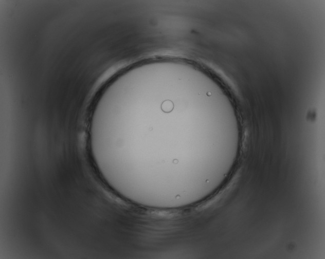 X0000101971266200807180718