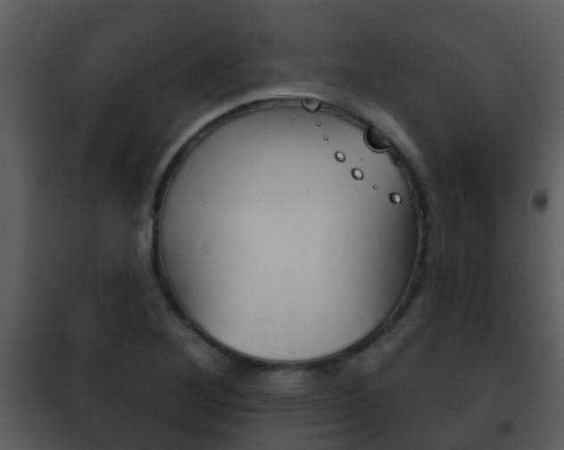 X0000101971268200807180718
