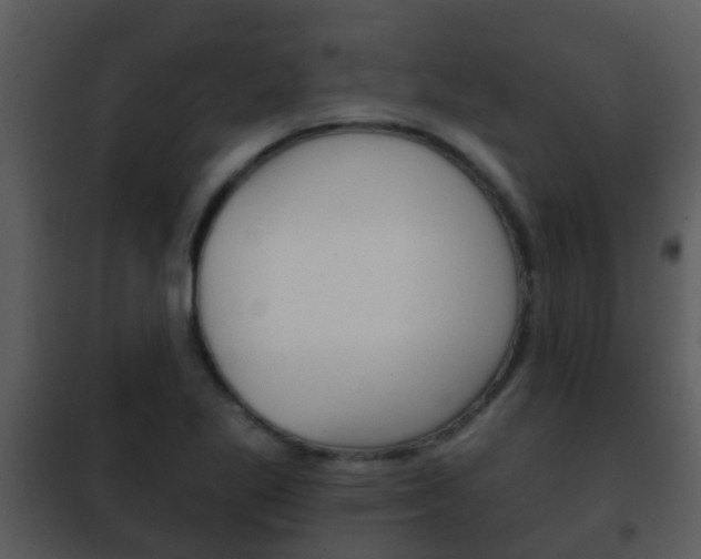 X0000101971269200807180718