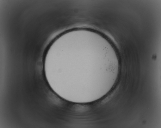 X0000101971270200807180718