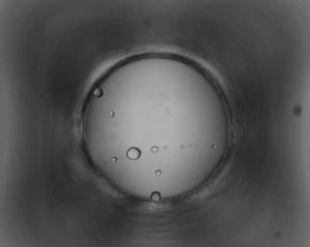 X0000101971271200807180718