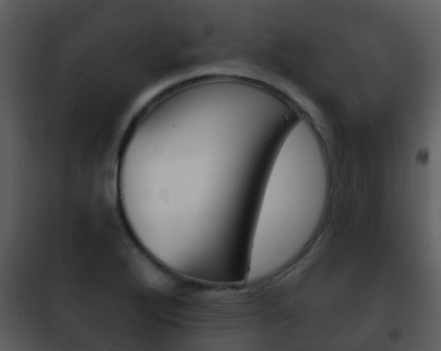 X0000101971272200807180718