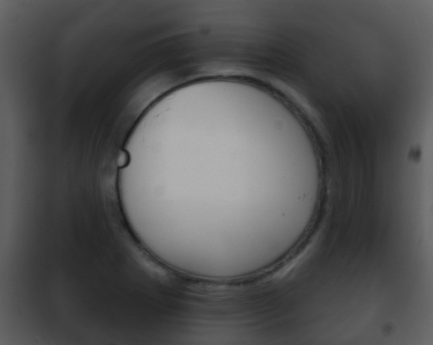 X0000101971273200807180718