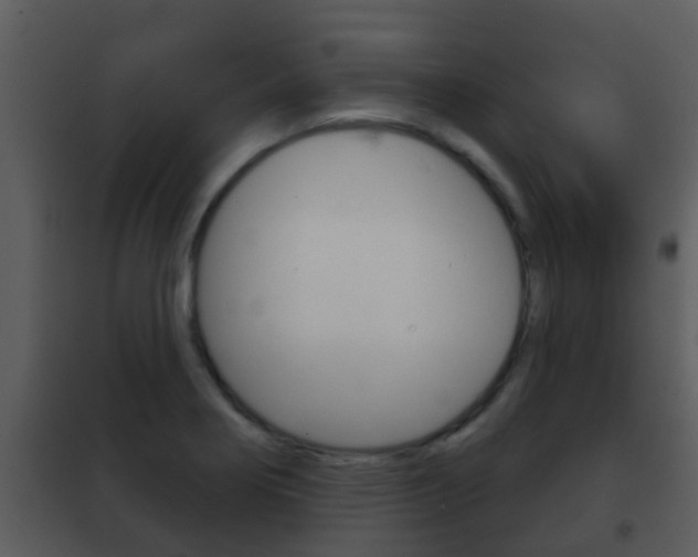 X0000101971274200807180718