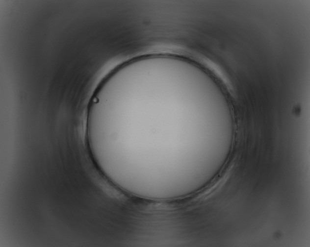 X0000101971275200807180718