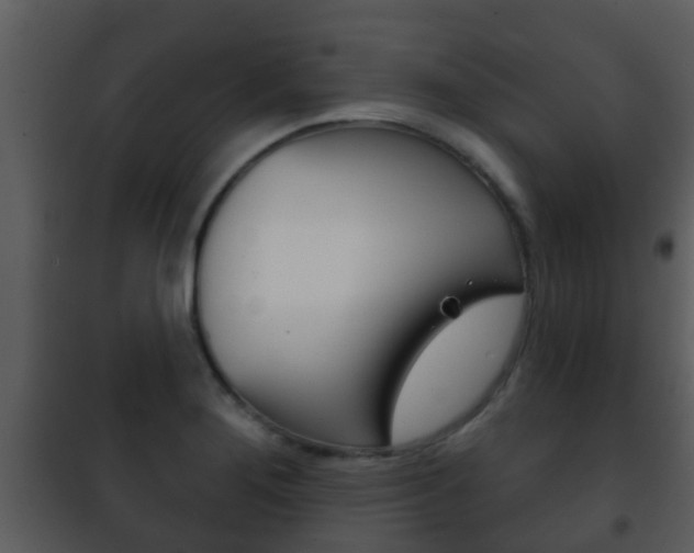 X0000101971276200807180718