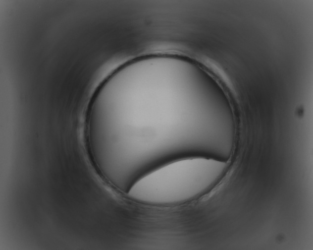 X0000101971277200807180717