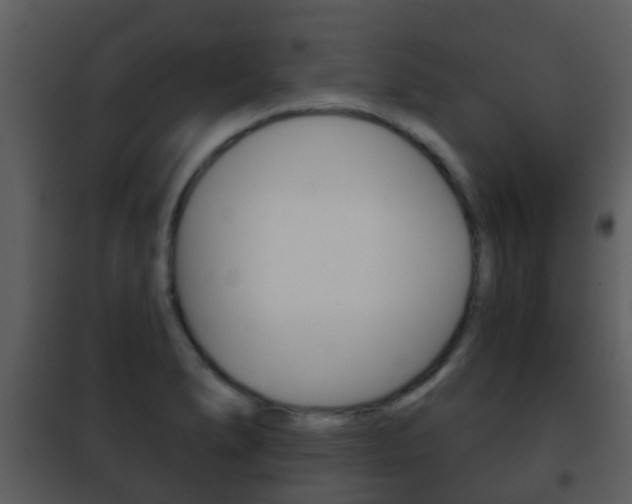 X0000101971278200807180717