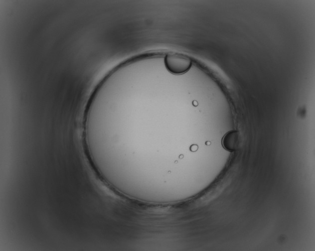 X0000101971279200807180717