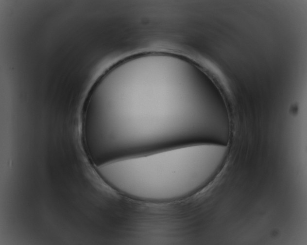 X0000101971280200807180717