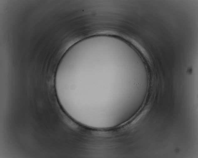 X0000101971281200807180717