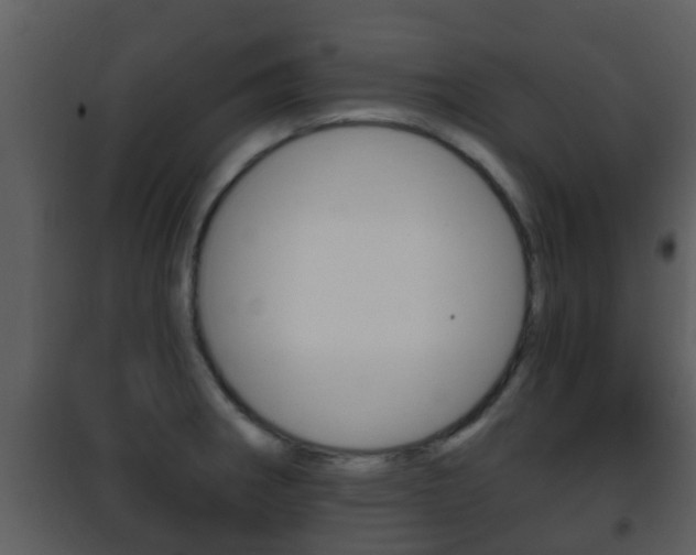 X0000101971282200807180717