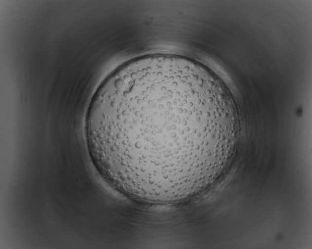 X0000101971283200807180717