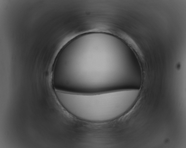 X0000101971284200807180717