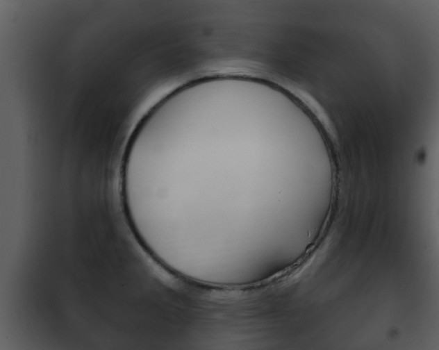 X0000101971285200807180717