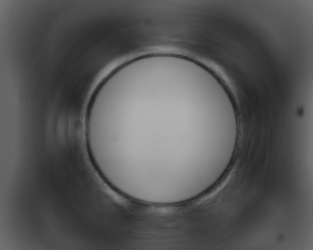 X0000101971286200807180717