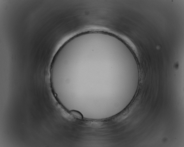 X0000101971287200807180717