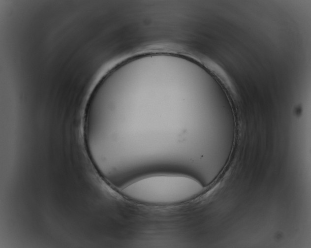 X0000101971288200807180717