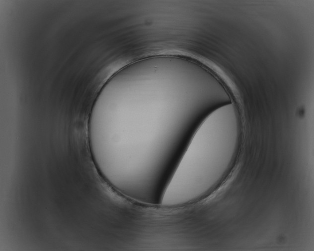 X0000101971289200807180717