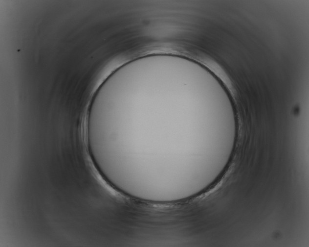 X0000101971290200807180717
