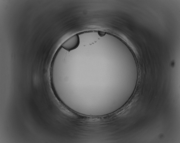 X0000101971291200807180717
