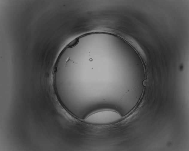 X0000101971292200807180717