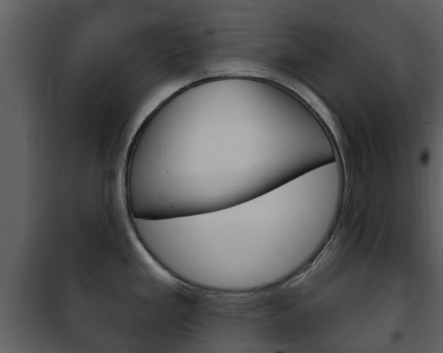 X0000101971293200807180717