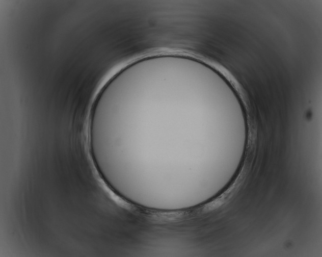 X0000101971294200807180717