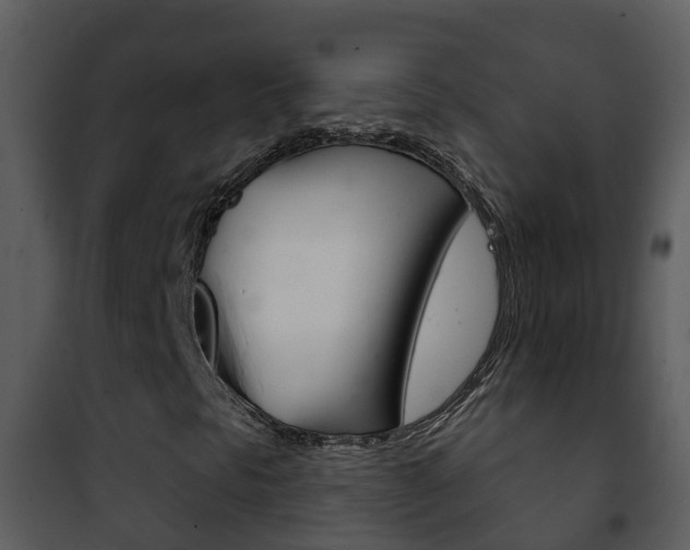 X0000101971297200807180716