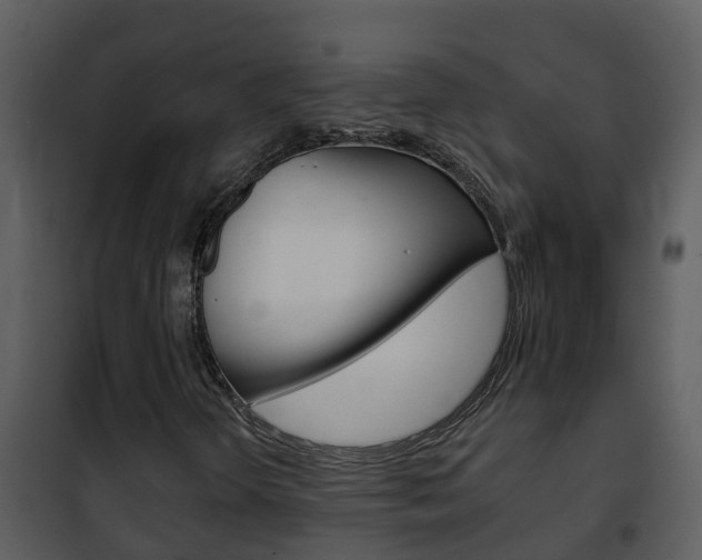 X0000101971298200807180716