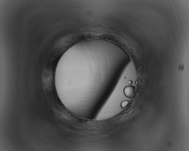 X0000101971299200807180716