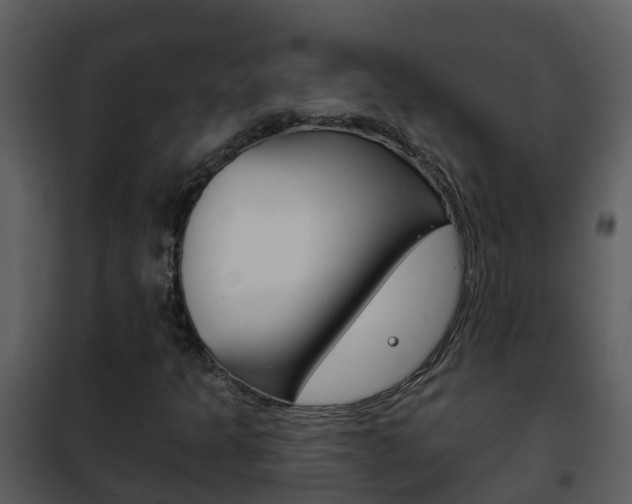 X0000101971301200807180716