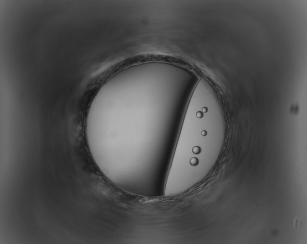X0000101971303200807180716