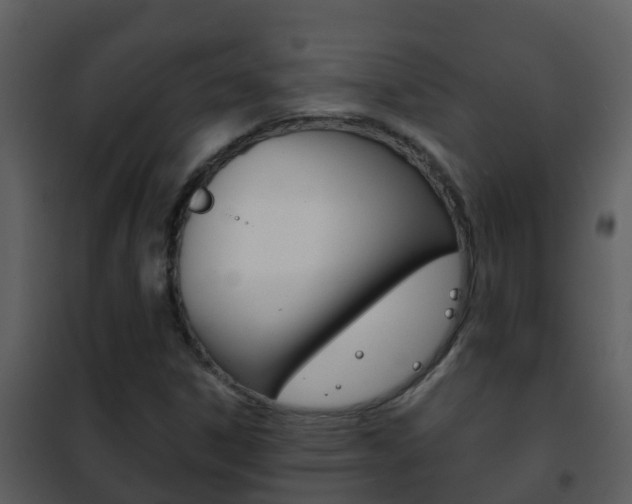 X0000101971306200807180716