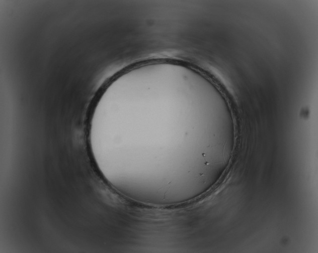 X0000101971308200807180716