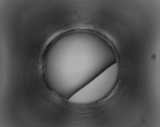 X0000101971310200807180716