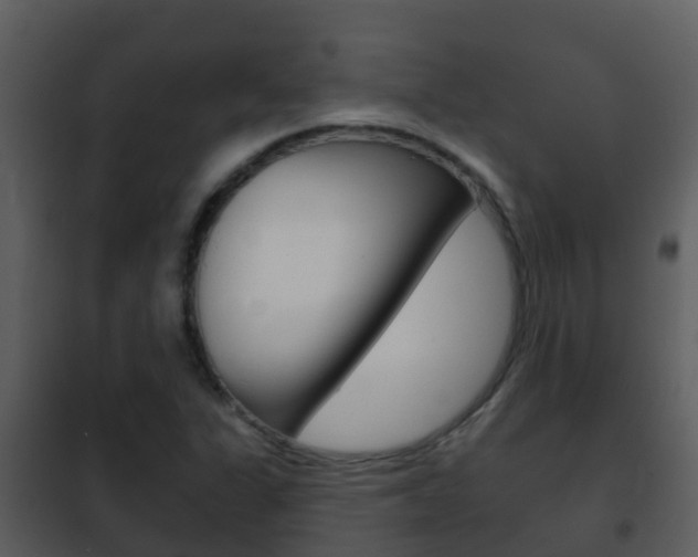 X0000101971311200807180716